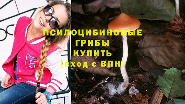 марки lsd Алексеевка
