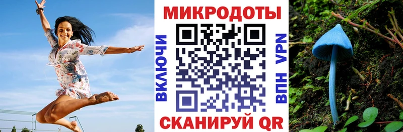 Псилоцибиновые грибы прущие грибы  Микунь 